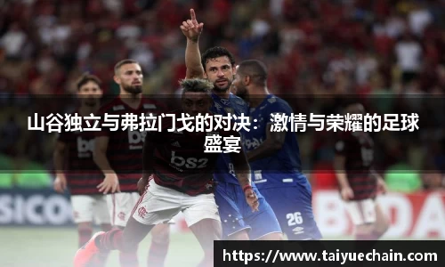 谈球吧山谷独立与弗拉门戈的对决：激情与荣耀的足球盛宴
